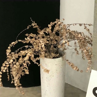 Furry兽设设计技巧兽圈社群